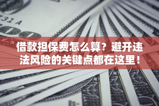 济南借款担保费怎么算？避开违法风险的关键点都在这里！