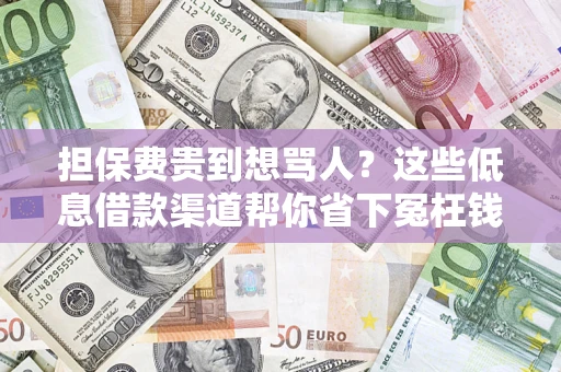 济南担保费贵到想骂人？这些低息借款渠道帮你省下冤枉钱
