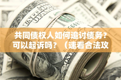 济南共同债权人如何追讨债务？可以起诉吗？（速看合法攻略）