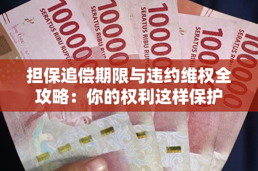 济南担保追偿期限与违约维权全攻略：你的权利这样保护